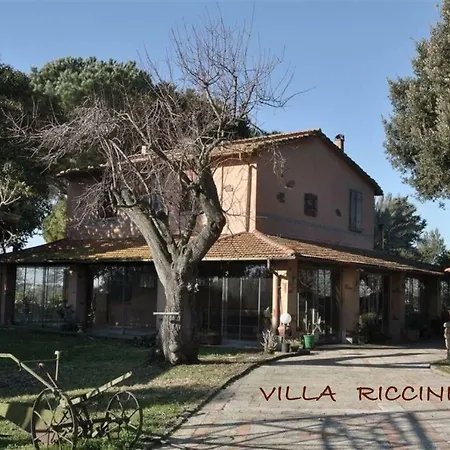 Riccini